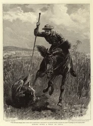 Een Wolf achterna zitten in India